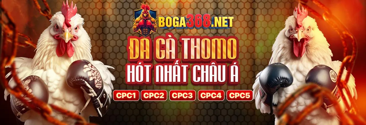 Hình ảnh minh họa tuân thủ GDPR tại gh88 nhà cái